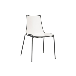 SCAB Zebra bicolour 2272